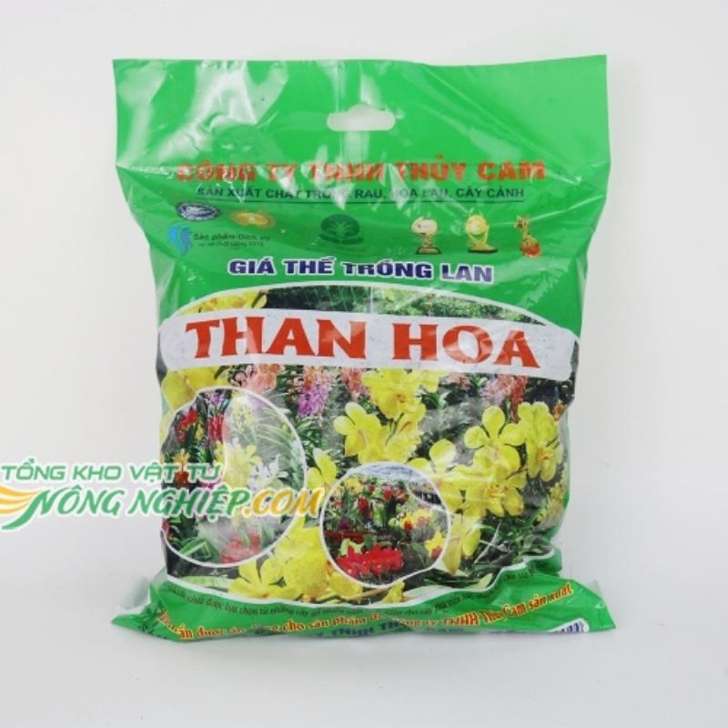 Chau trong hoa lan u loi voi gia the vo thong va than cui thoang khi